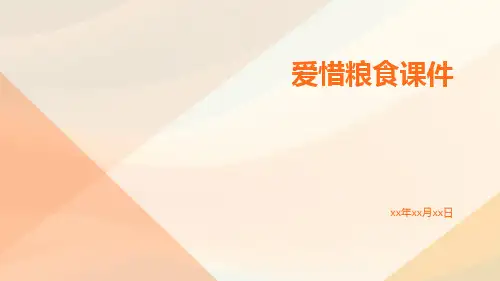 爱惜粮食课件
