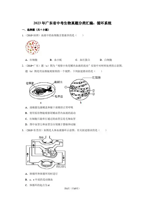2023年广东省中考生物真题分类汇编：循环系统(附答案解析)