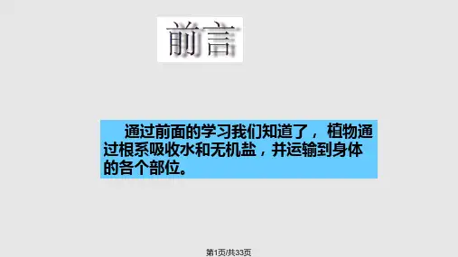 植物对无机盐的吸收PPT课件