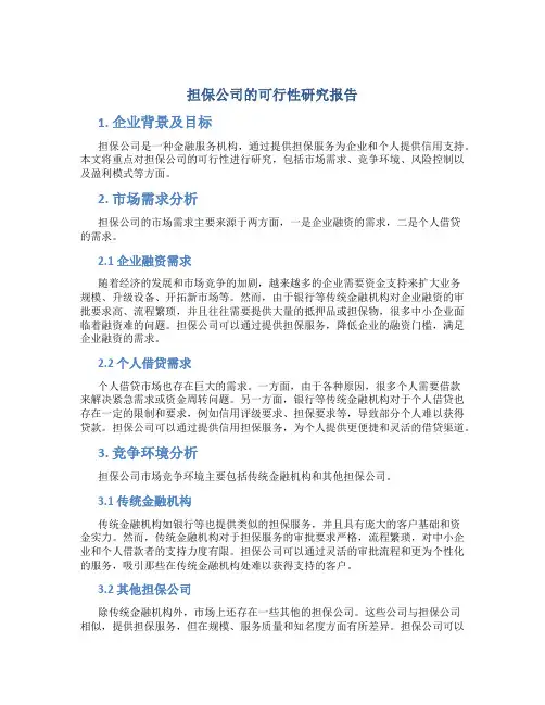 担保公司的可行性研究报告