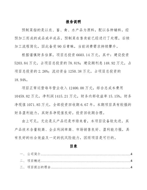 预制菜项目预算分析报告