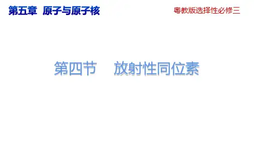 放射性同位素ppt课件
