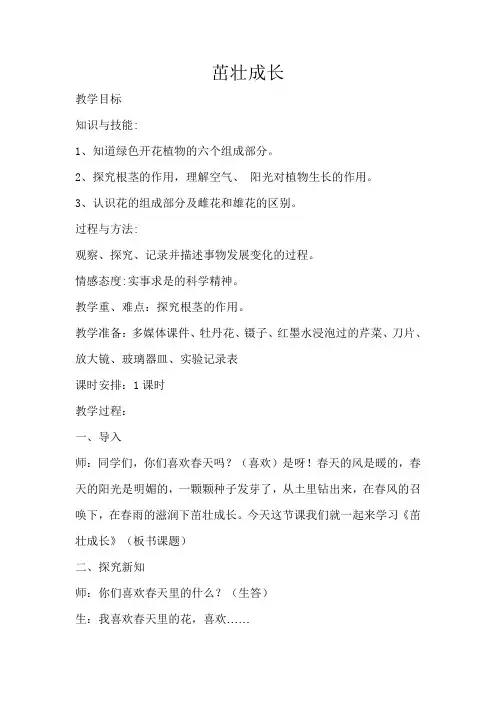 《茁壮成长》教学设计案