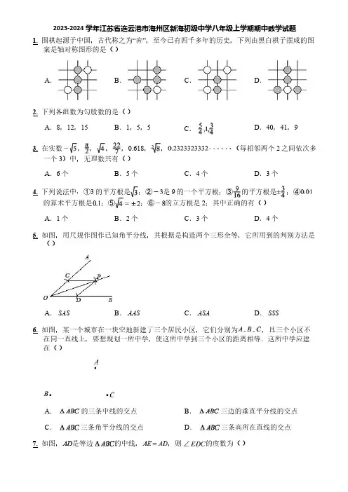 2023-2024学年江苏省连云港市海州区新海初级中学八年级上学期期中数学试题