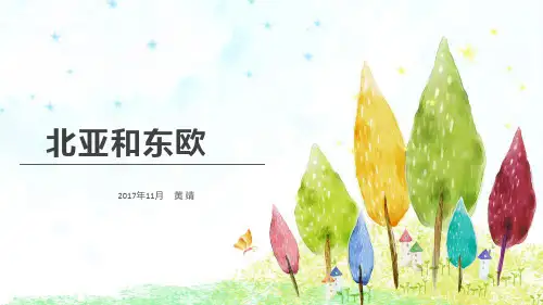 区域地理世界地理俄罗斯(共78张PPT)