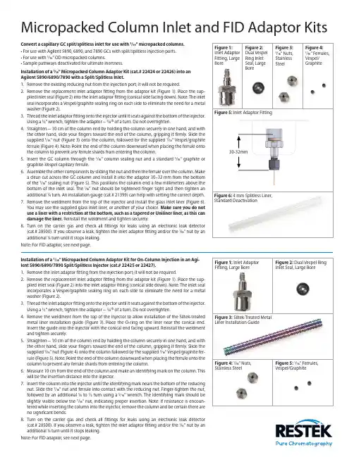 Installation Instructions for Micropacked Column I