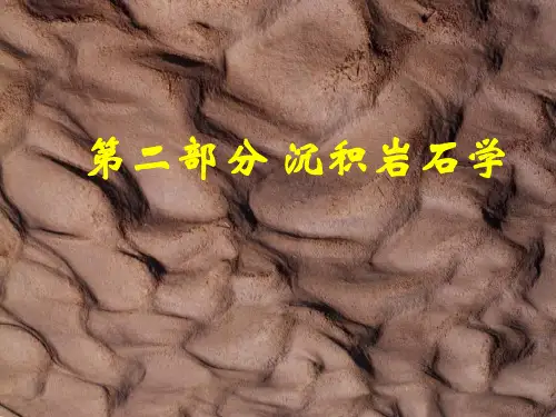 第二部分沉积岩石学101页PPT