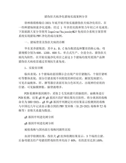 猪伪狂犬病净化猪场实战案例分享