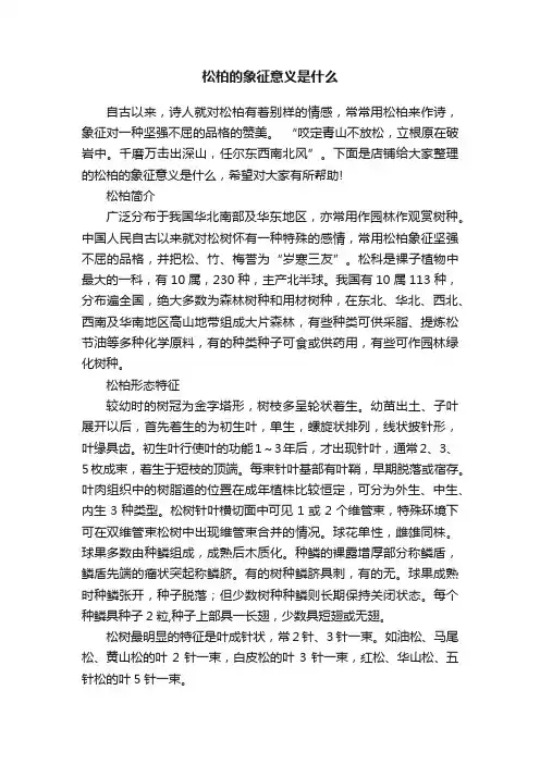 松柏的象征意义是什么
