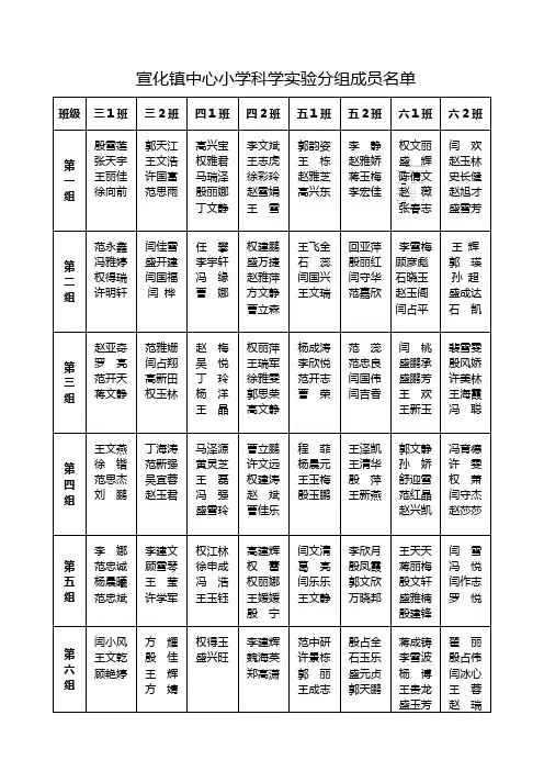 小学科学实验分组成员名单 2
