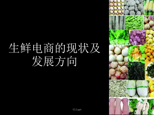 生鲜电商的现状及发展方向ppt课件