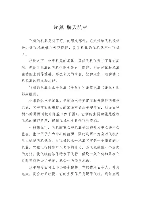 尾翼 航天航空