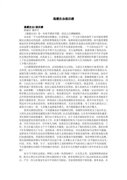 逃避自由读后感