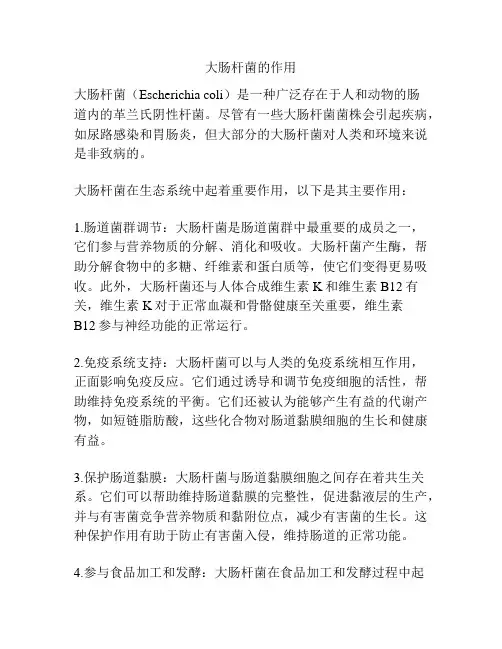 大肠杆菌的作用
