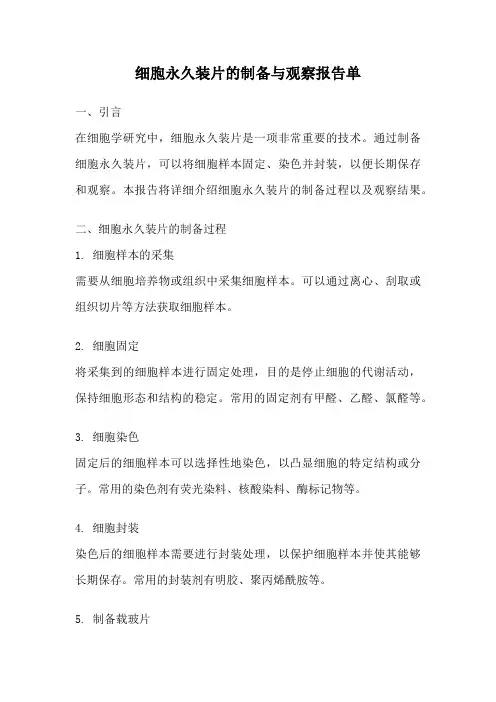 细胞永久装片的制备与观察报告单