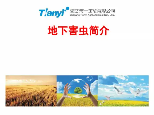地下害虫简介