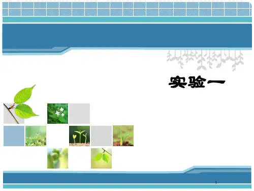 毒理学实验微核试验