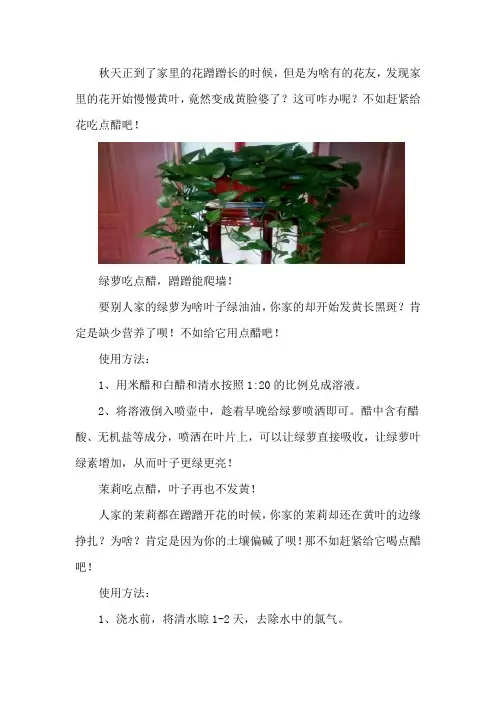 爱吃醋的5种花,兑水喷一喷,叶子变得绿油亮!