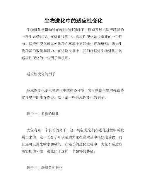 生物进化中的适应性变化