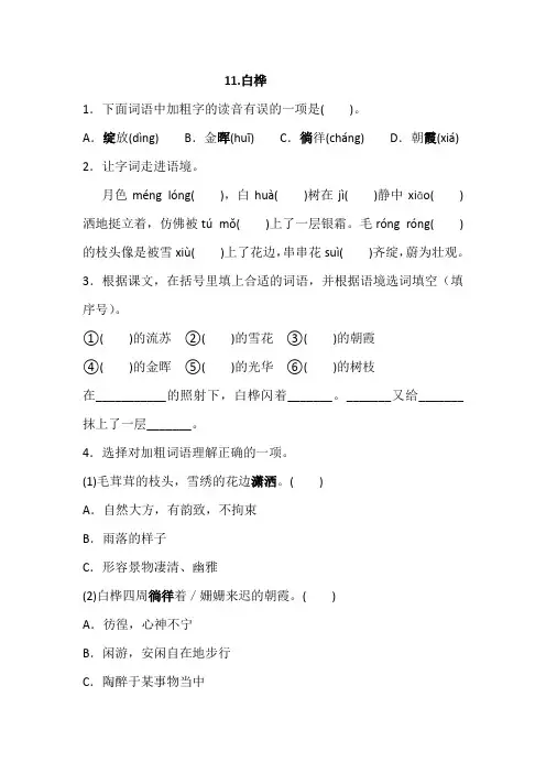 部编四年级下册语文 11.白桦一课一练(含答案)