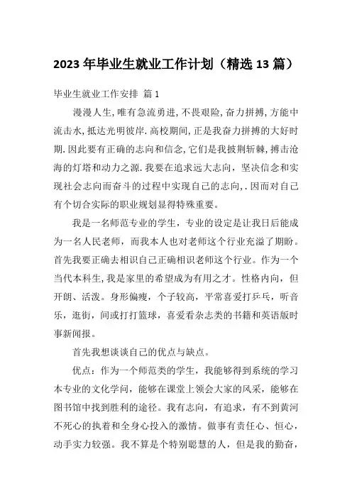 2023年毕业生就业工作计划(精选13篇)