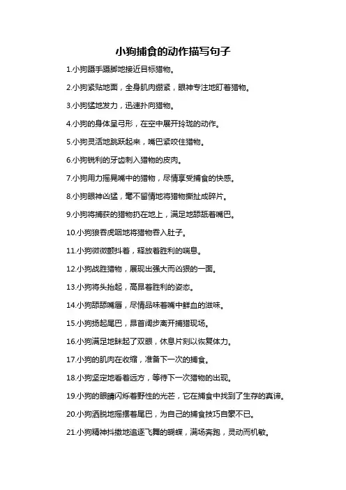 小狗捕食的动作描写句子