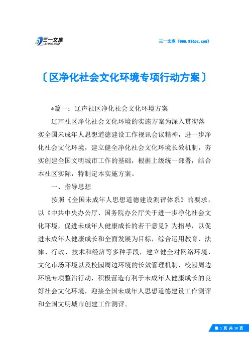 区净化社会文化环境专项行动方案