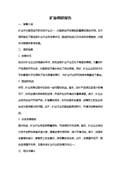 矿业调研报告