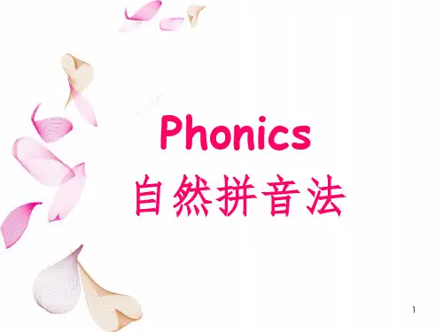 自然拼读1 ai ay ea ee ey oa owppt课件