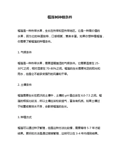 榴莲树种植条件