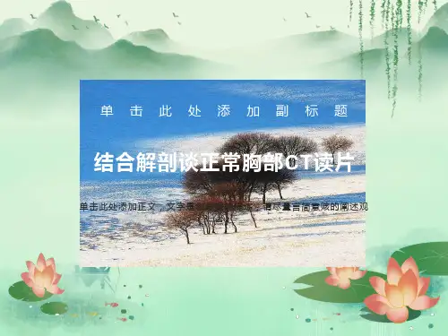 正常胸部CT读片