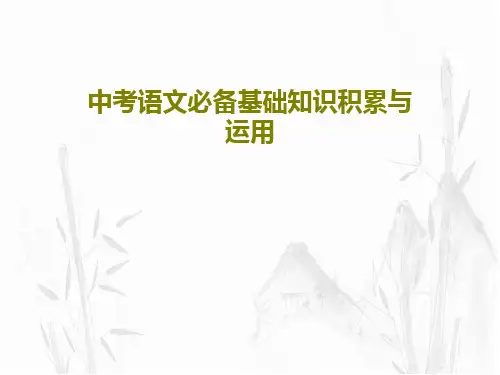 中考语文必备基础知识积累与运用68页文档
