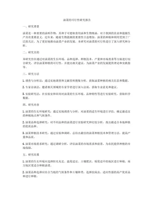 油菜的可行性研究报告