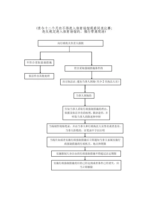 （责令十二个月内不得进入体育场馆观看同类比赛；