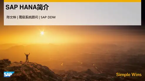 SAPHANA入门介绍