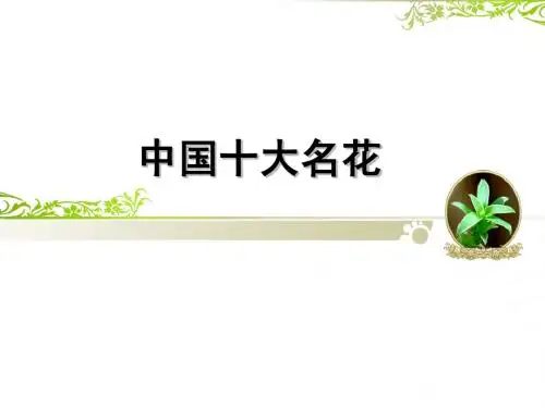 中国十大名花