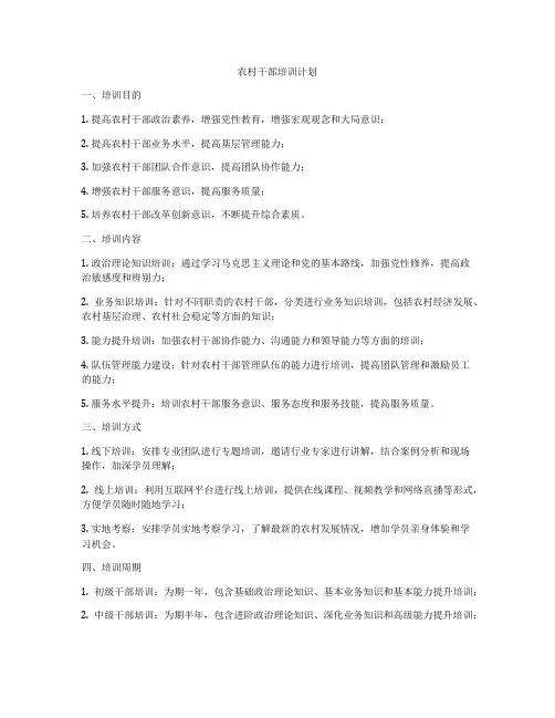 农村干部培训计划