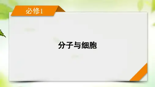 2024届高考生物一轮课件必修1 第2单元 第1讲 细胞膜和细胞核