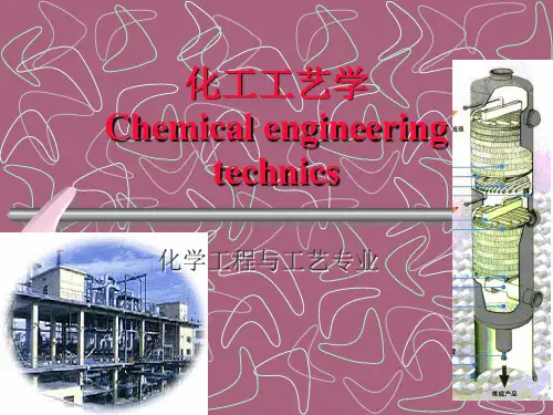 化工工艺学-纯碱和烧碱ppt课件
