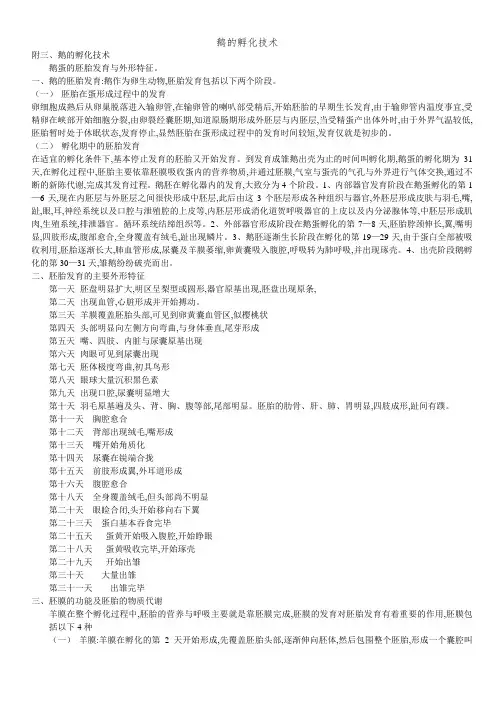 鹅的孵化技术 (2)
