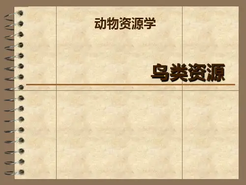 鸟类资源