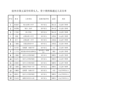 第五届宿州市骨干教师、学科带头人xls