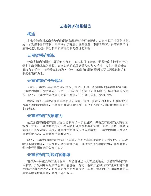 云南铜矿储量报告