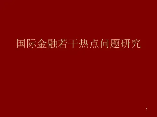 国际金融若干热点问题研究ppt课件
