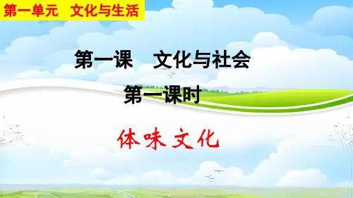高中政治必修3优质课件1：1.1 体味文化