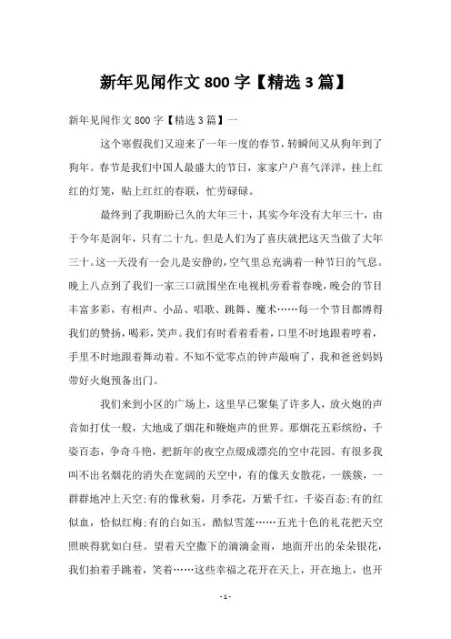 新年见闻作文800字【3篇】