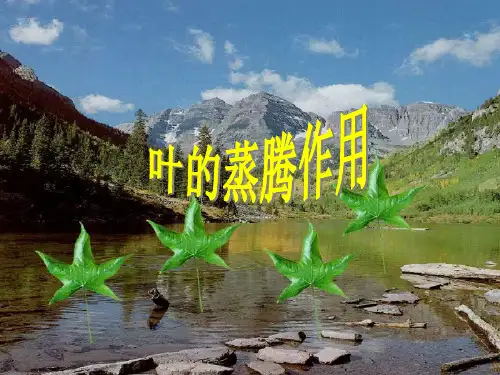 叶的蒸腾作用PPT教学课件