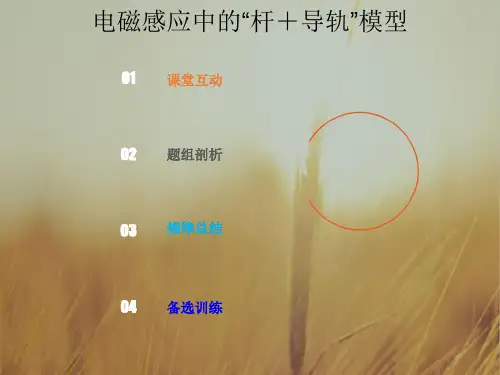 2019版总复习高中物理课件：第十章 电磁感应10-3-3-电磁感应中的“杆导轨”模型-x 精品