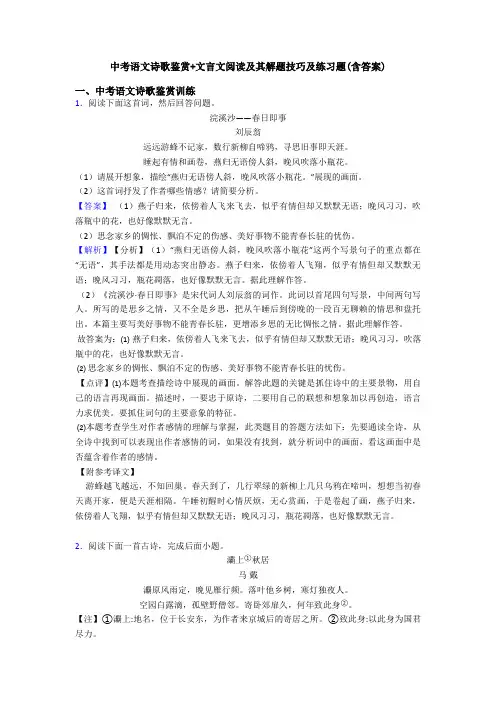 中考语文诗歌鉴赏+文言文阅读及其解题技巧及练习题(含答案)