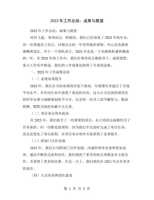2023年工作总结：成果与展望